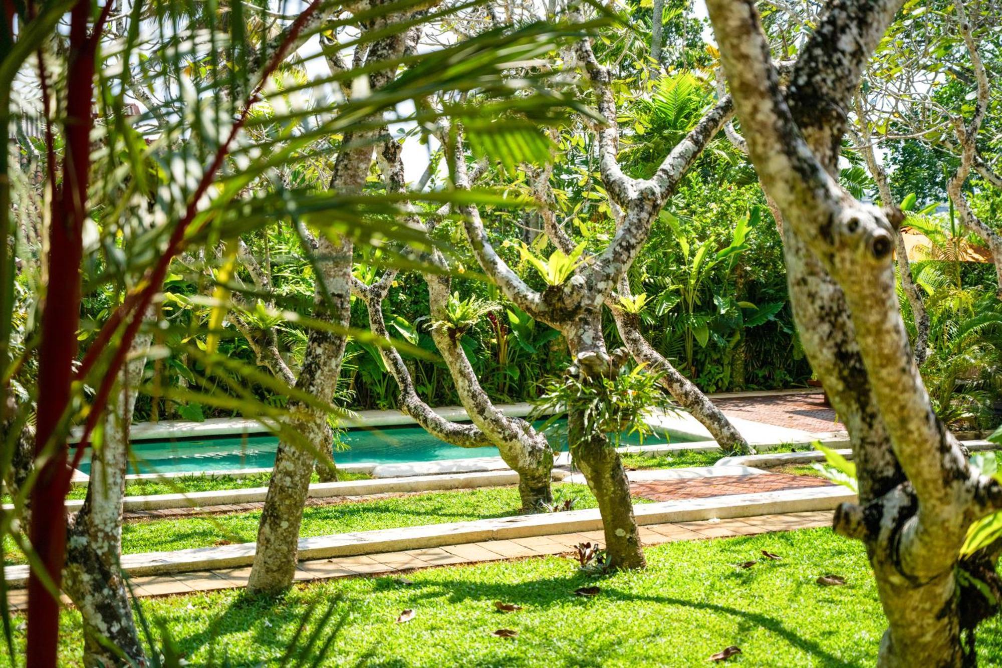 The Sun House Hotel Galle Eksteriør billede